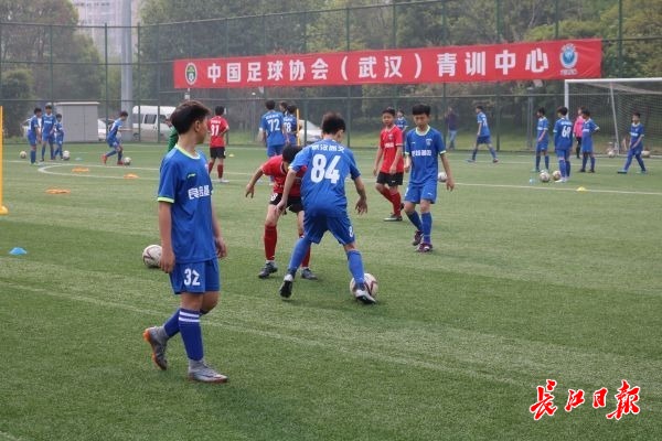 七载用心，三年夺冠！武汉三镇：为足球青训搭建更好的舞台